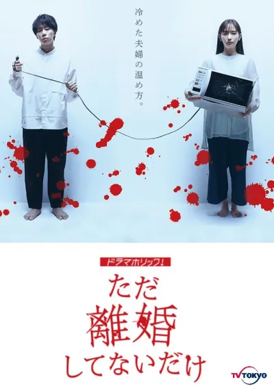 Мы просто не в разводе (Сезон 1)