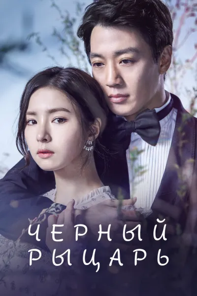 Чёрный рыцарь (Сезон 1, 2017)