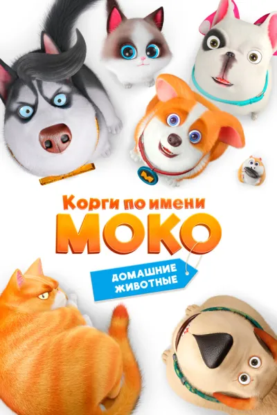 Корги по имени Моко. Домашние животные (Сезон 2)