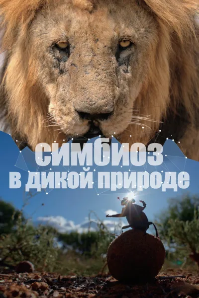 Симбиоз в дикой природе (Сезон 1)