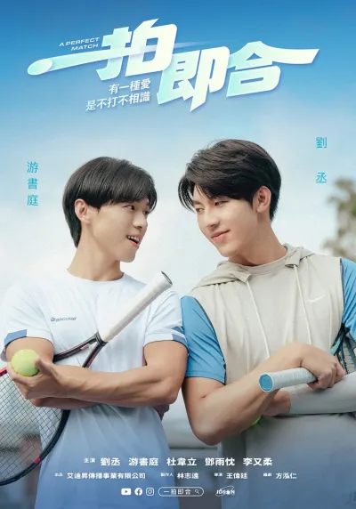 Идеальное совпадение (Сезон 1, 2025)