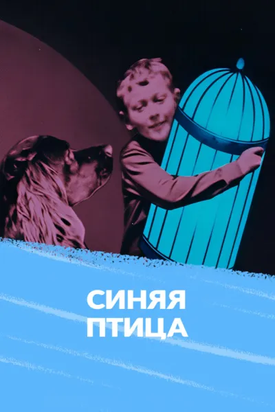Синяя птица (1970)