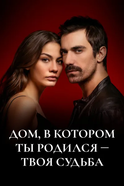 Дом, в котором ты родился – твоя судьба (Сезон 1, 2019)