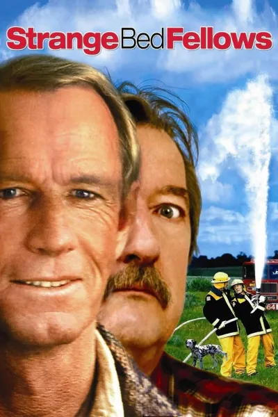 Странная парочка (2004)