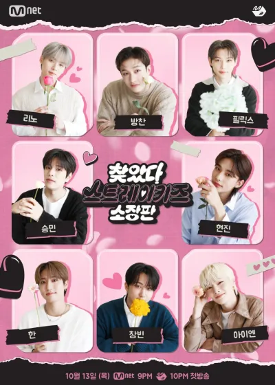 В поисках Stray Kids (Сезон 1)