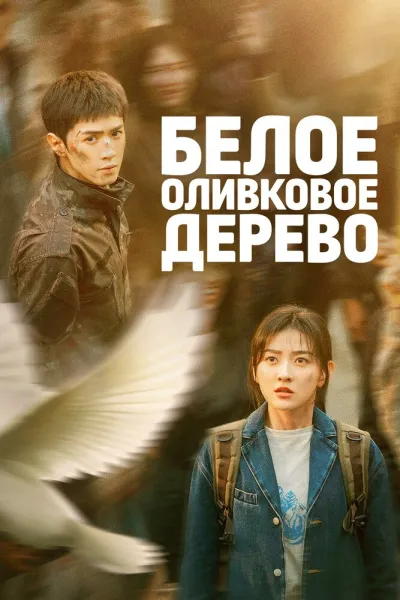 Белое оливковое дерево (Сезон 1)
